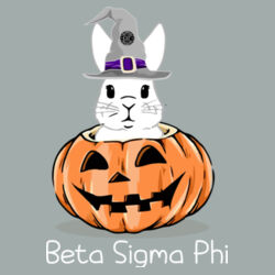 Beta Sigma Phi Design BSP1 on a Port & Company® - Core Fleece Crewneck Pocket Sweatshirt Design