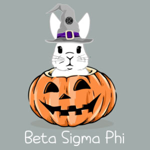 Beta Sigma Phi Design BSP1 on a Port & Company® - Core Fleece Crewneck Pocket Sweatshirt Design