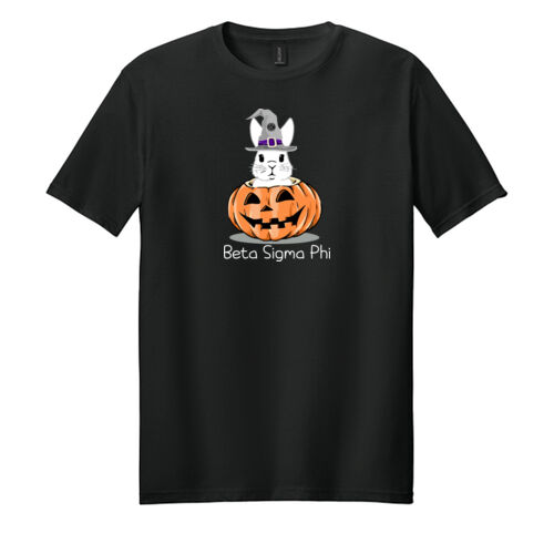 Beta Sigma Phi Design BSP1 on a Gildan® - Softstyle ® T Shirt Thumbnail