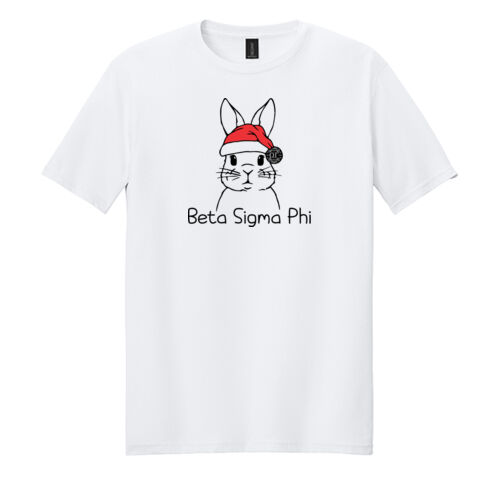 Beta Sigma Phi Design BSP2 on a Gildan® - Softstyle ® T Shirt Thumbnail